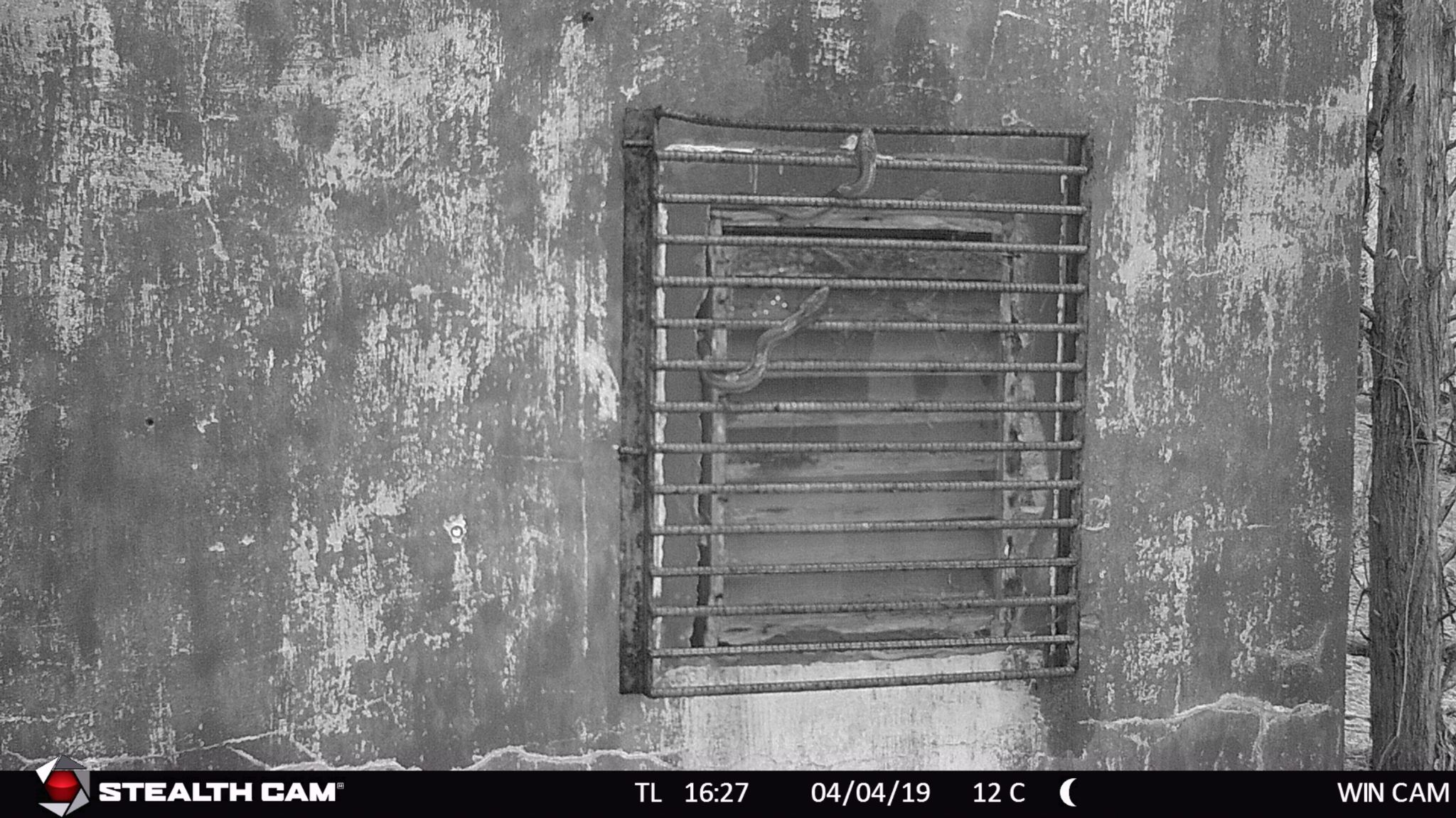 18 drinking from rebar